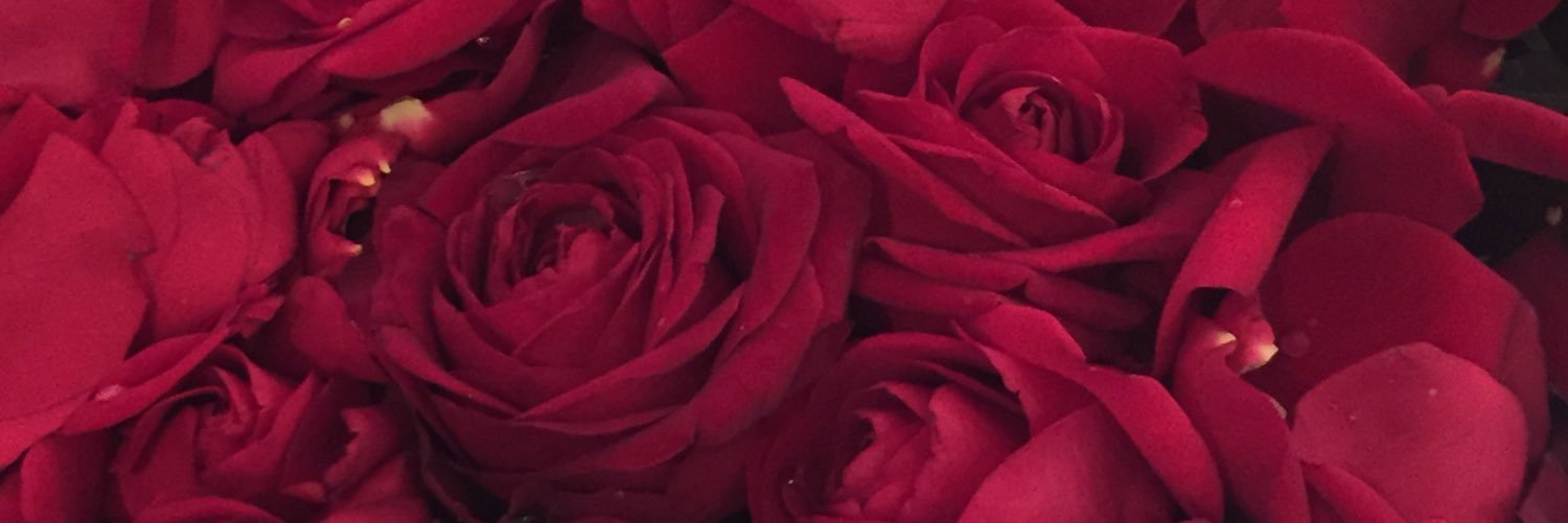 emmacoyne's profile banner image