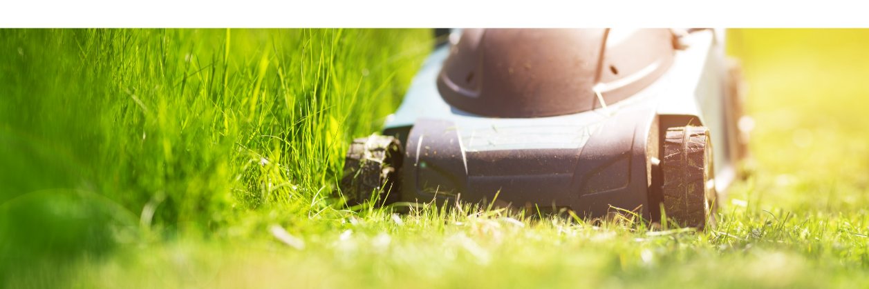 Seasonal Employment Alliance banner