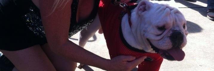 Christy Craig banner