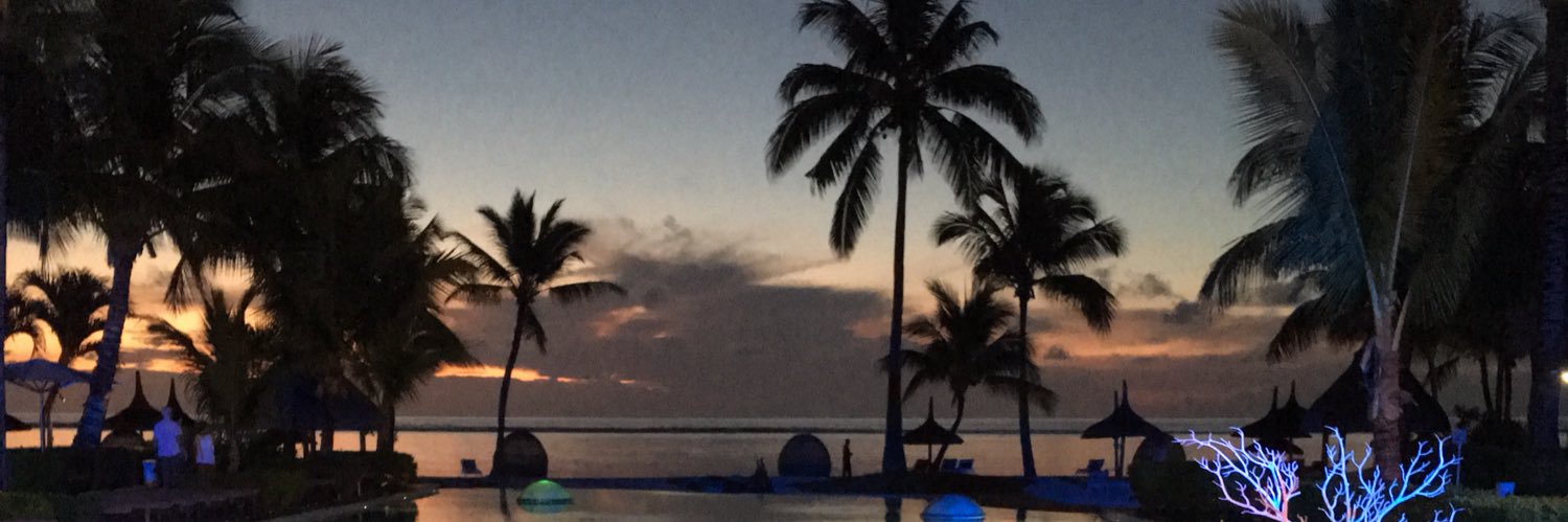 Susan Holland banner