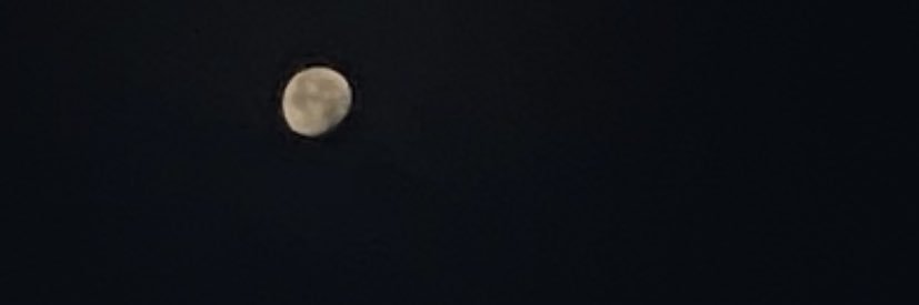 OrphanDrog's profile banner image