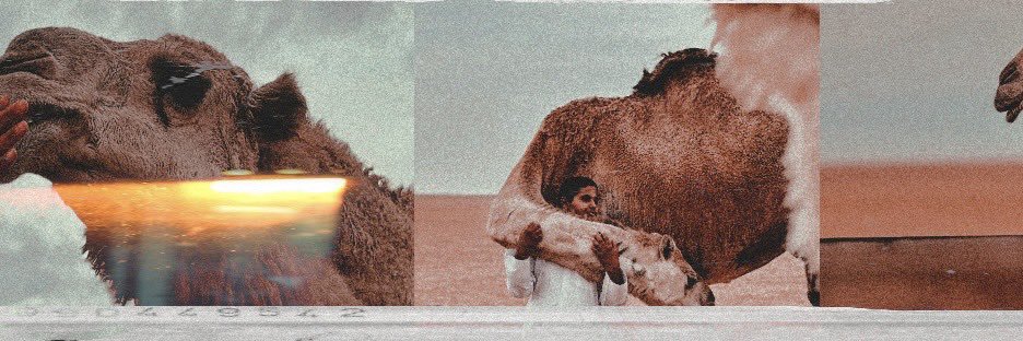 زيـَـاد banner