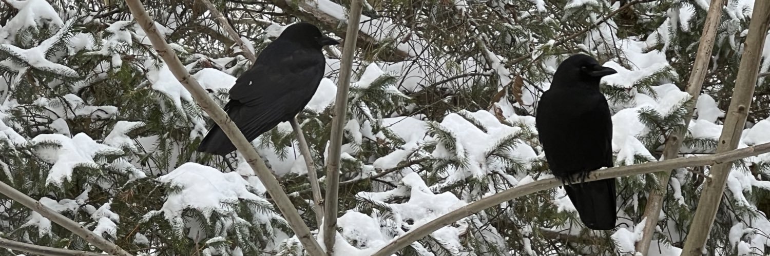 leighio_'s profile banner image