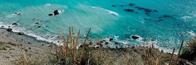 that hippie chick✌🏼 banner