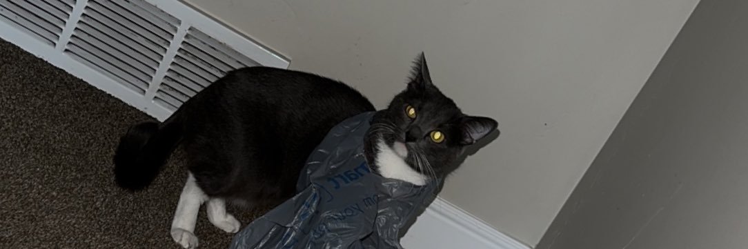 dill banner