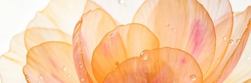 _dxjl's profile banner image
