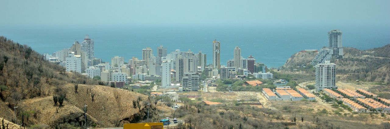 Silvia Elena Medina banner