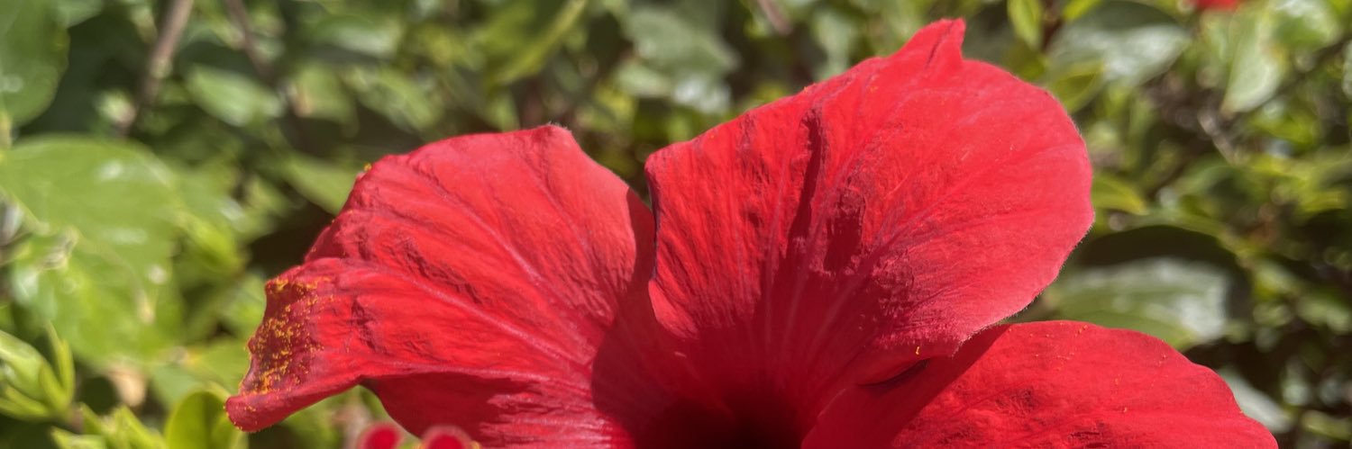LauWinz1983's profile banner image