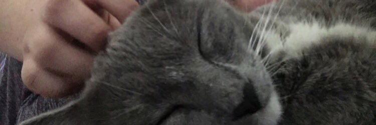 melijeli321's profile banner image