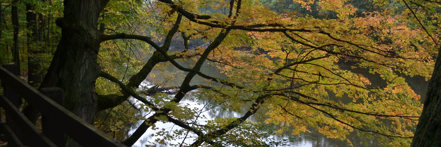 InghamParks's profile banner image