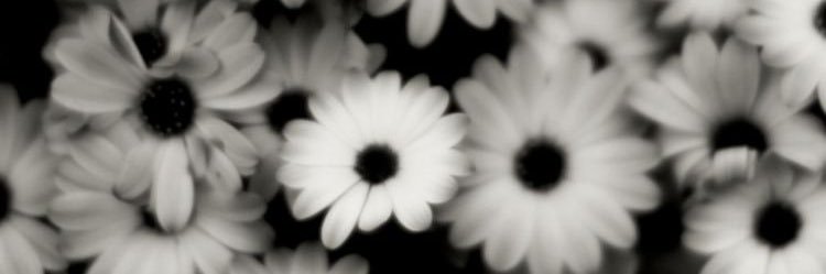 Clifford Morrison banner