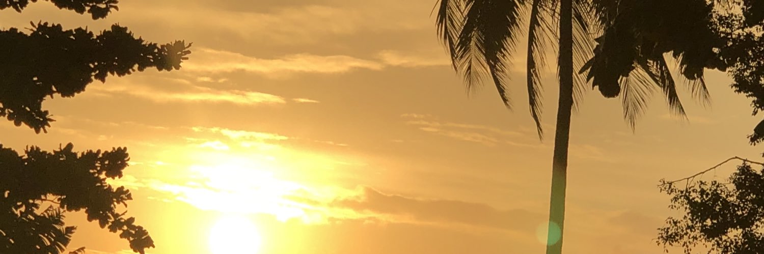 ThatBauchiBoy's profile banner image