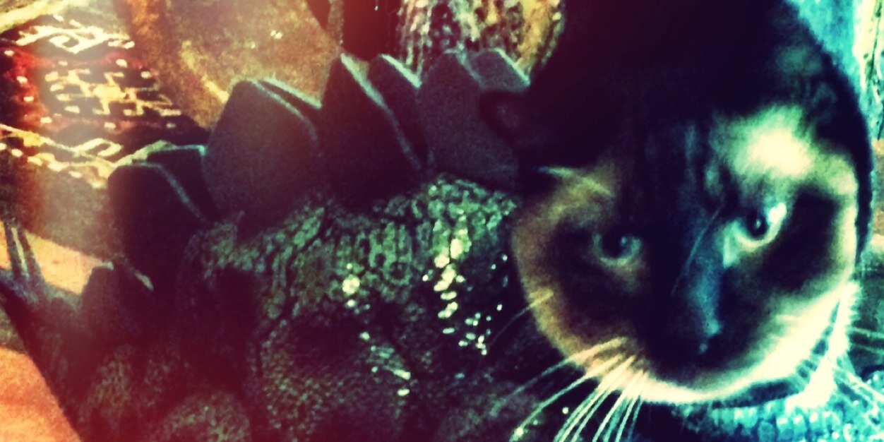 peeperss's profile banner image