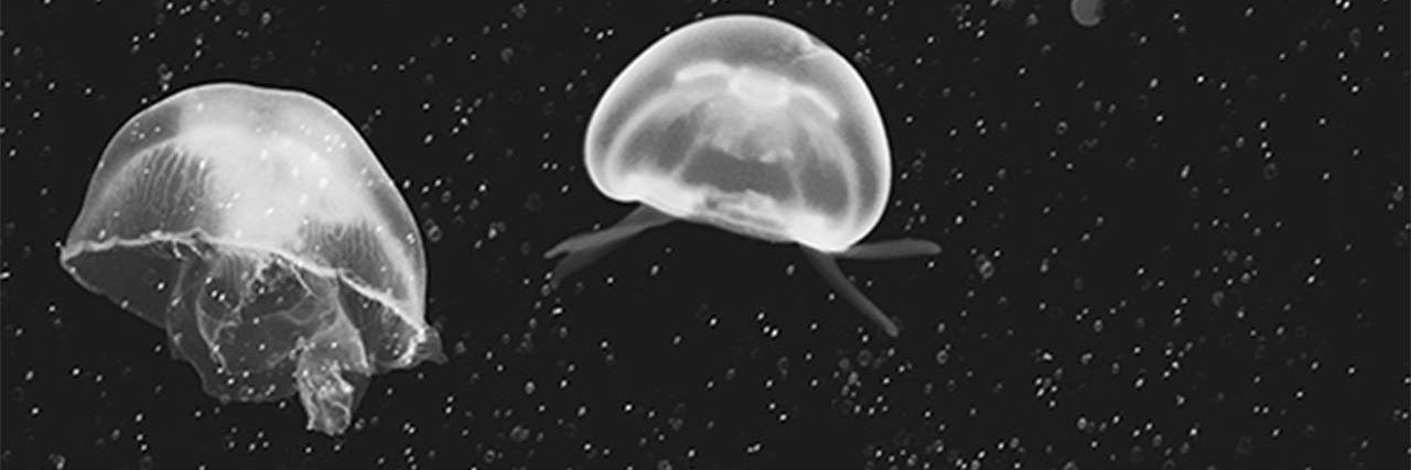Slothful87's profile banner image