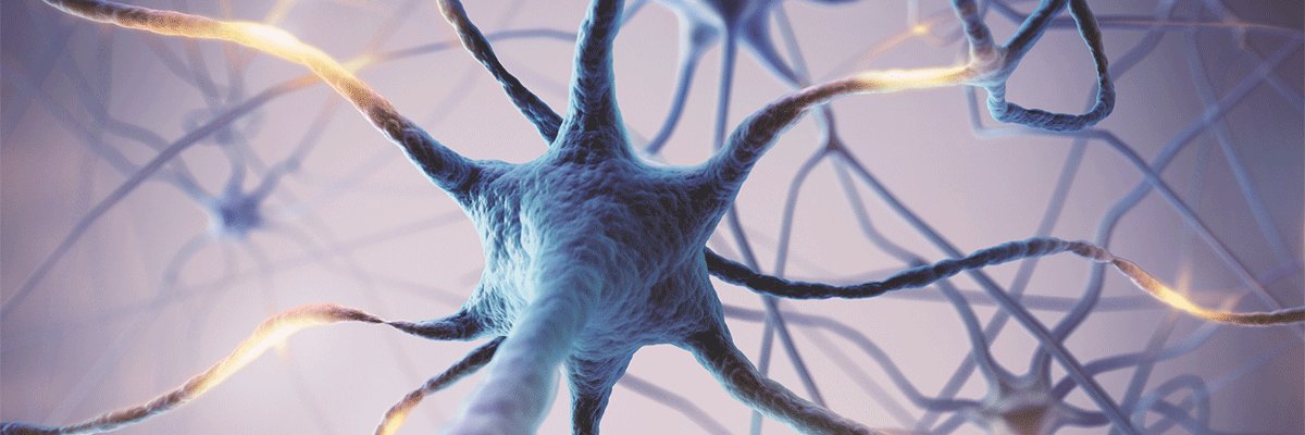 manialucart's profile banner image