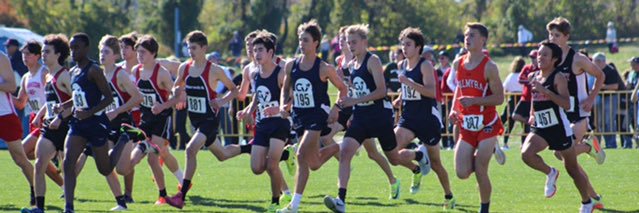 Carson Miller banner