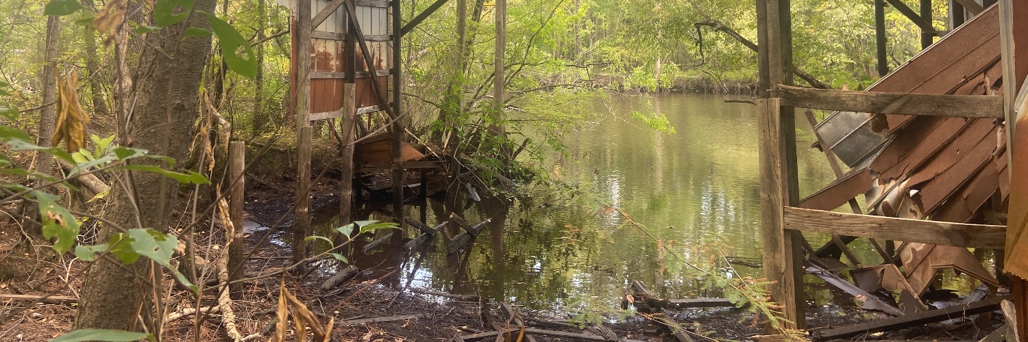 Southern Pig (Jordan Rivers) banner