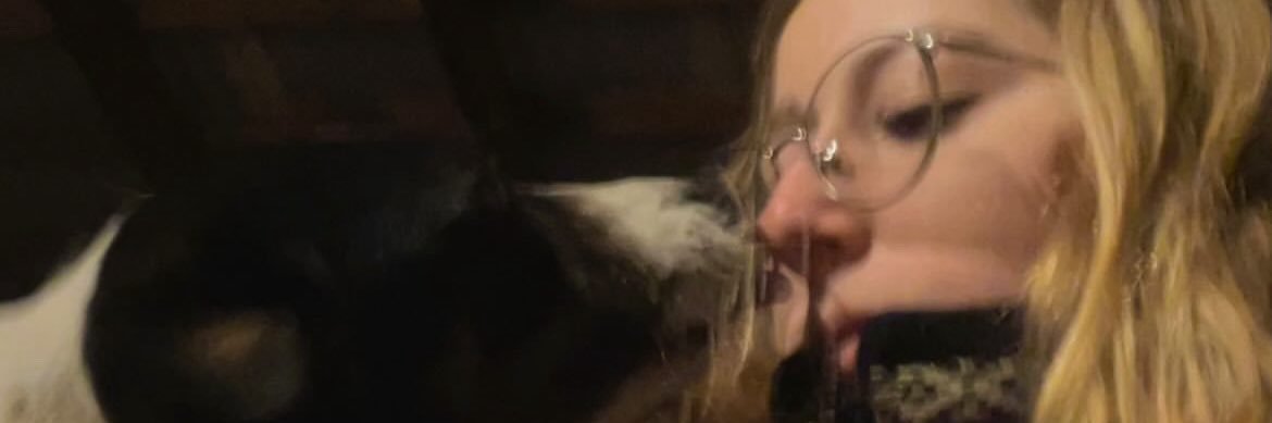 DelfinaVivanco's profile banner image