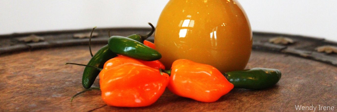 Space Indaver banner