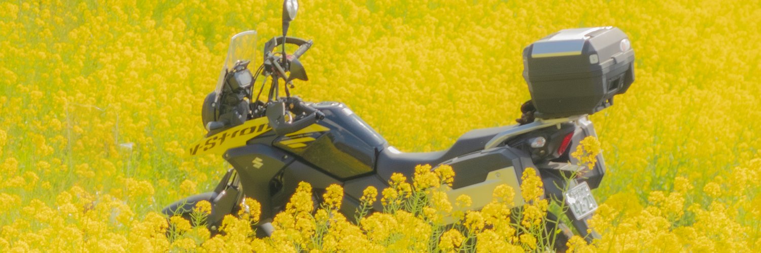 tansya1978's profile banner image