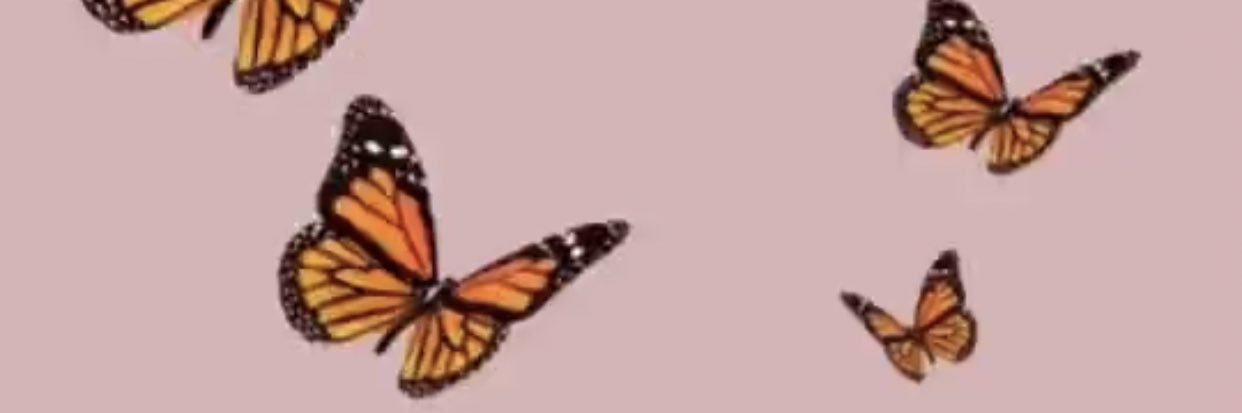 IvaTebay's profile banner image
