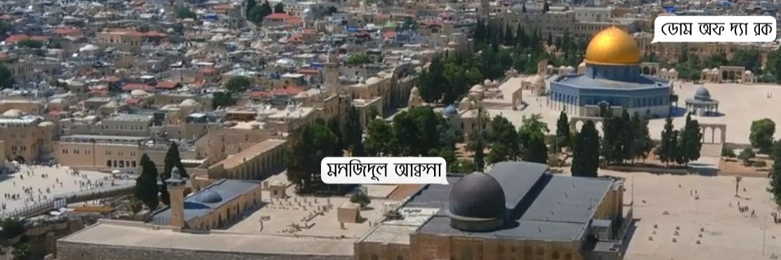 Salim Muhammad 🇵🇸 🇧🇩 banner