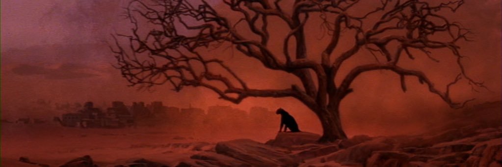 bonner_ryan's profile banner image
