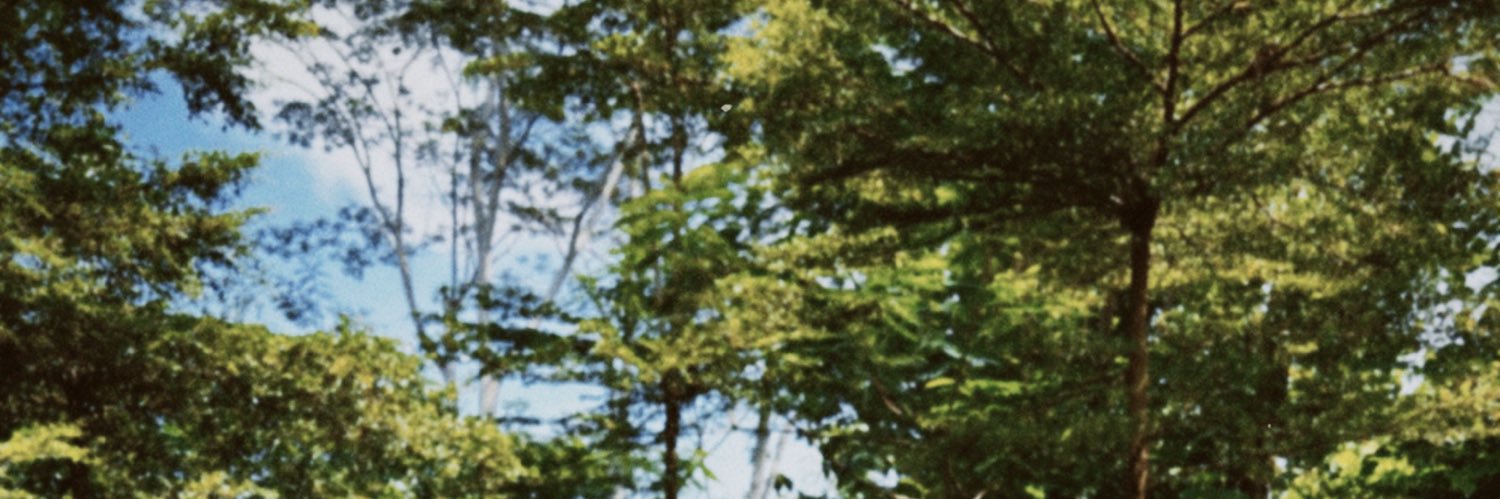 pastzel's profile banner image