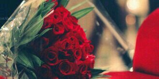 iraaarmanda's profile banner image