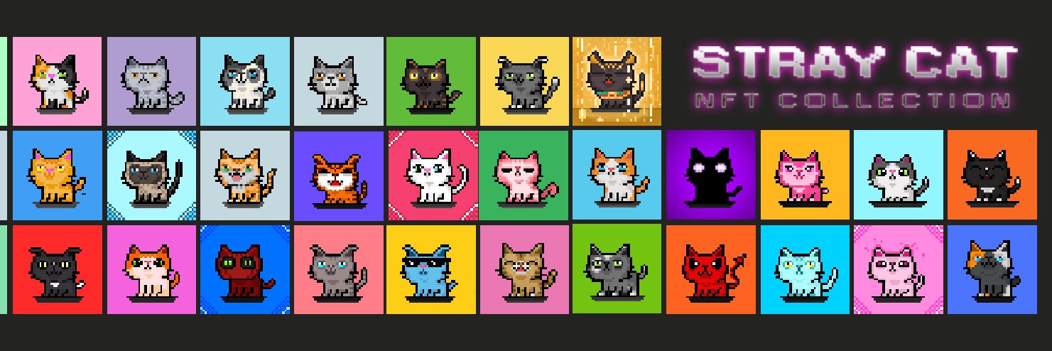 StrayCatNFT banner