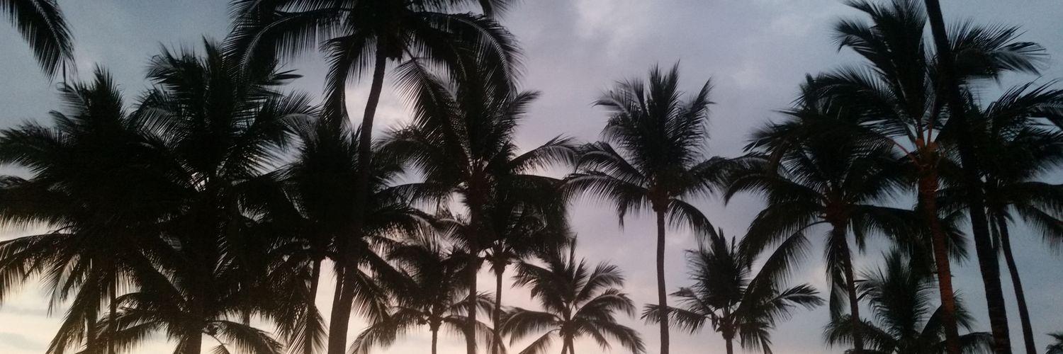 tonyslaps's profile banner image