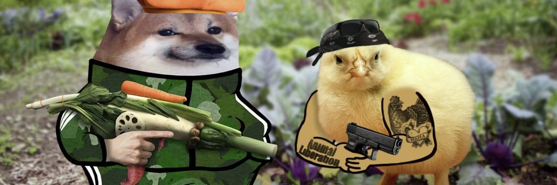 dhrdxb's profile banner image