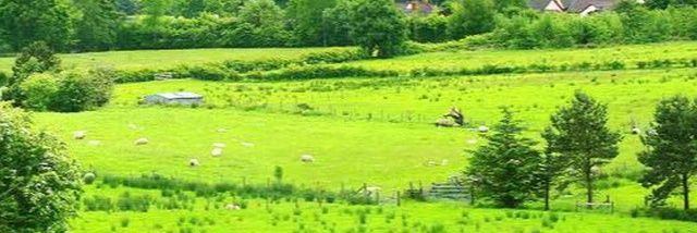 Irish Family Farm ( Telegram ) banner