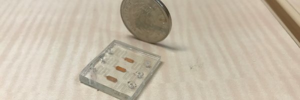 MahshidLab Profile Banner