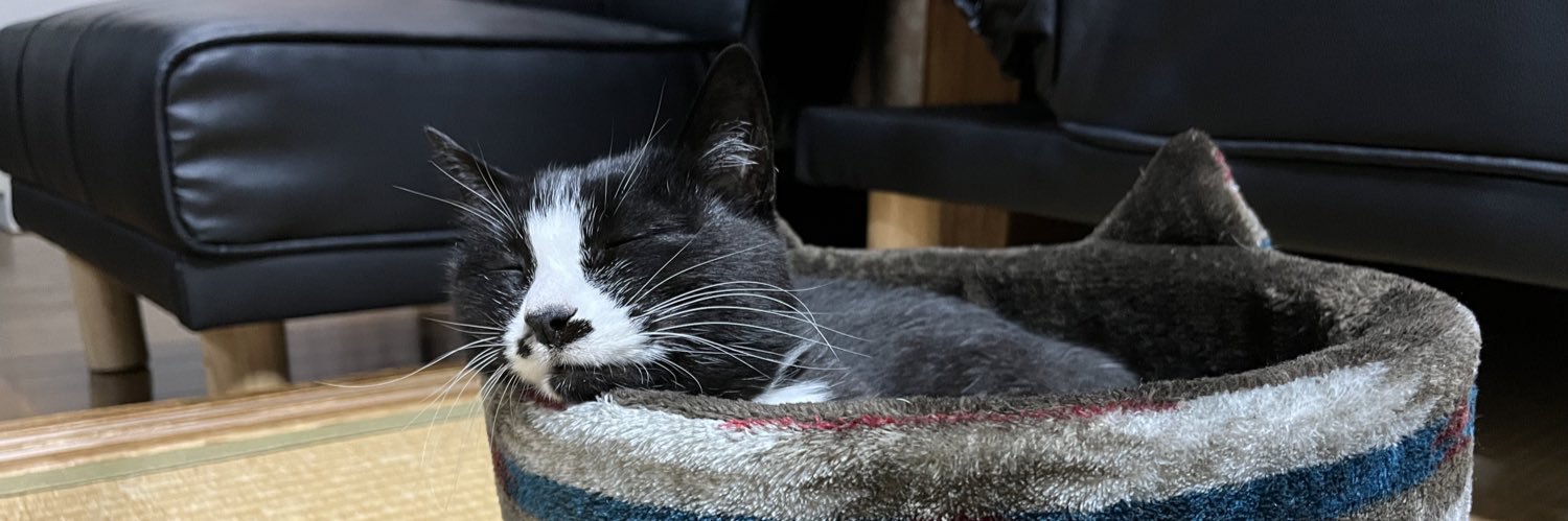 るいちゃん banner