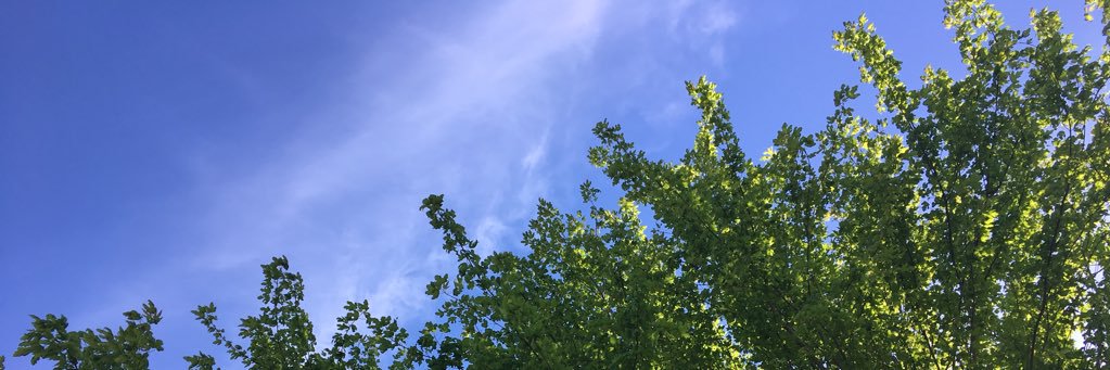 jennyflack's profile banner image