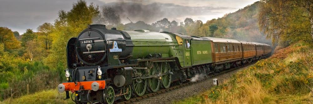 60163_Tornado's profile banner image