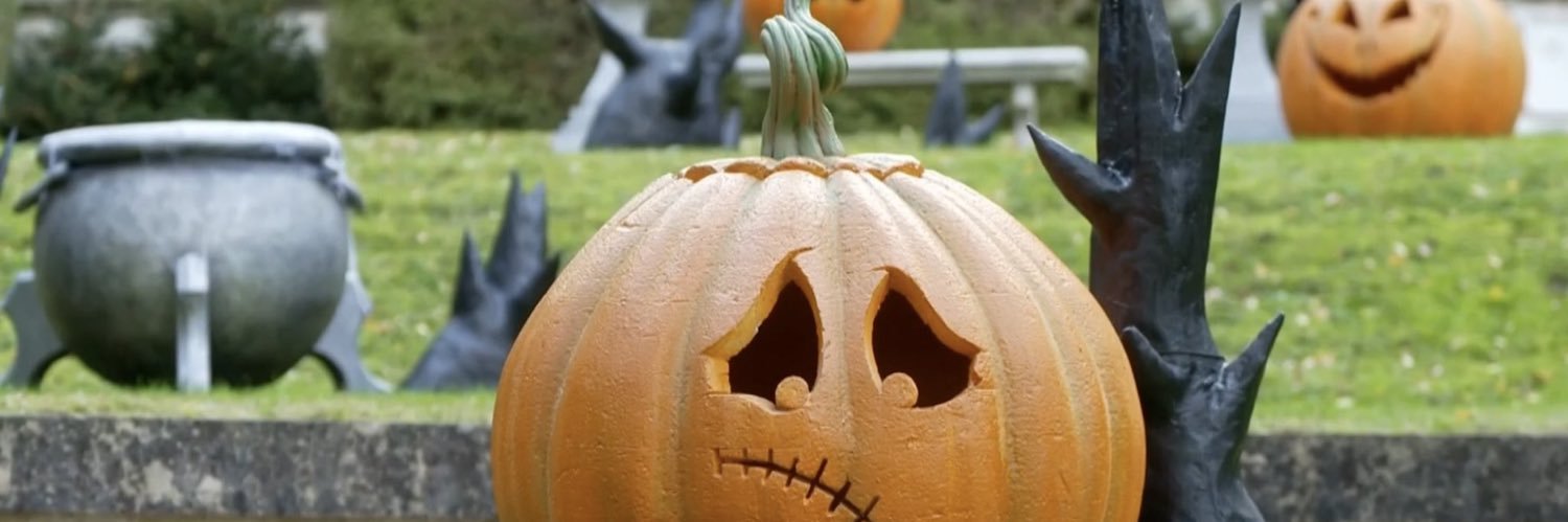 Hxmthieu's profile banner image