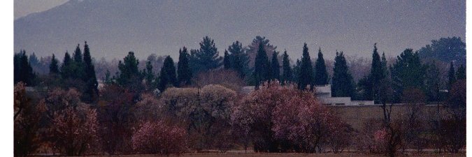 AmMeesam's profile banner image