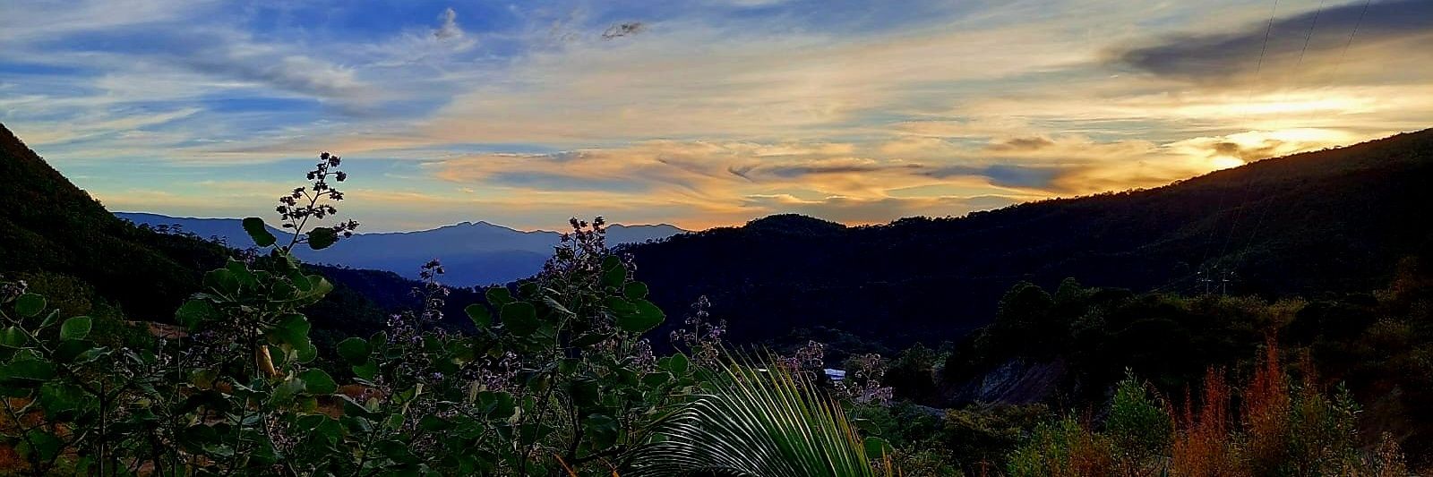 iakatena04's profile banner image