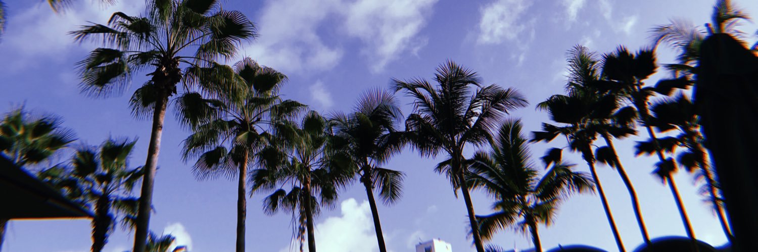 kiareiny's profile banner image