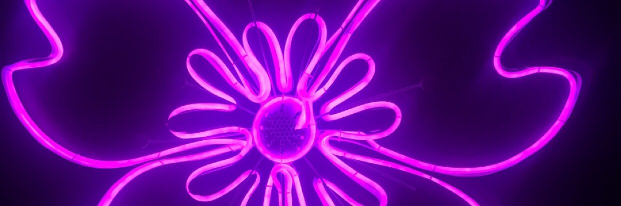 BeechamFrank's profile banner image