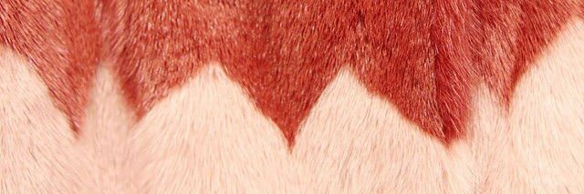 CrisQuinti's profile banner image