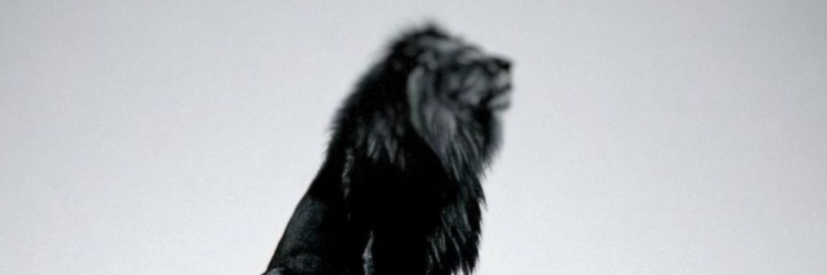 alifrtaslnn's profile banner image