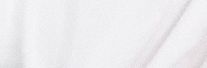 魚 banner