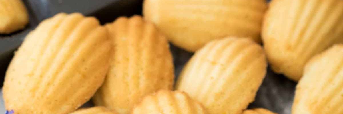 dietcomedy banner