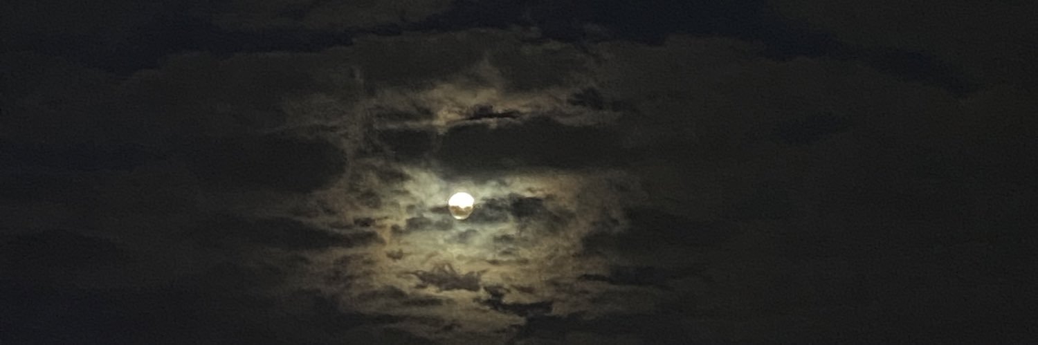 sdiaryy1's profile banner image