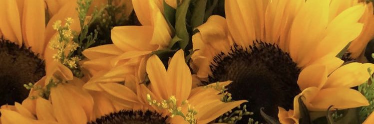 heyitsmirix's profile banner image