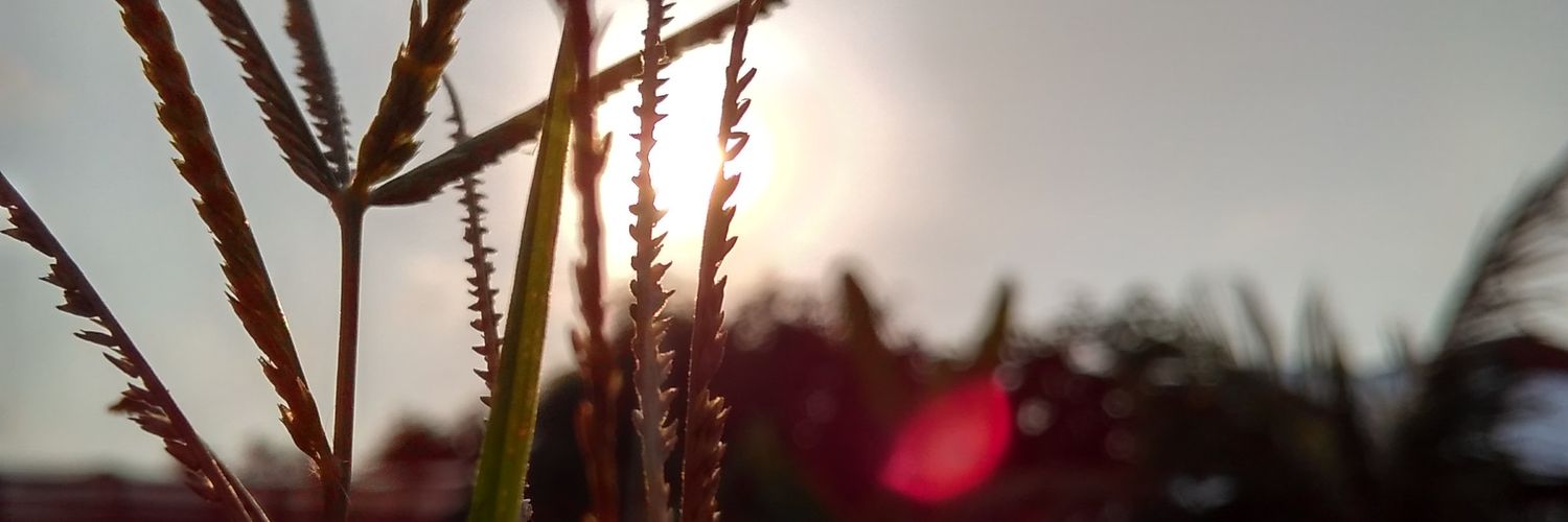 heruaryaa's profile banner image