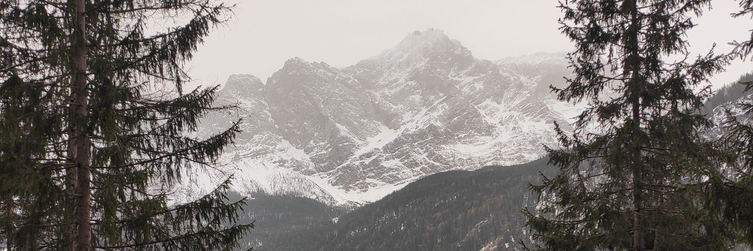 Davina Biel banner